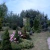 Najpiękniejsze ogrody » Elżbieta Maziarka